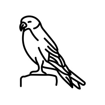 Kestrel Outline Icon, Vector illustration