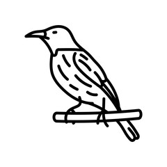 Oriole Outline Icon, Vector illustration