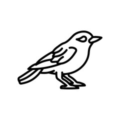 Vireo Bird Outline Icon, Vector illustration
