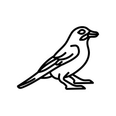 Jay Bird Outline Icon, Vector illustration