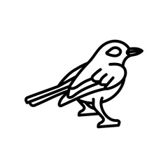 Flycatcher Outline Icon, Vector illustration