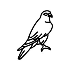 Merlin Bird Outline Icon, Vector illustration