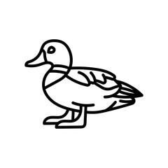 Bufflehead Outline Icon, Vector illustration