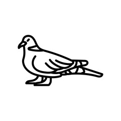 Eurasian Collared Dove Outline Icon, Vector illustration