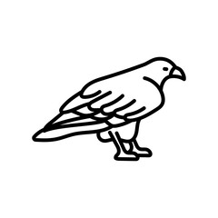 Ferruginous Hawk Outline Icon, Vector illustration