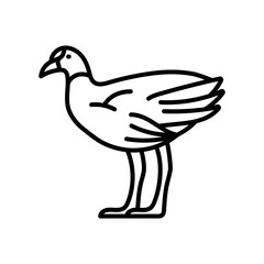 Common Gallinule Outline Icon, Vector illustration
