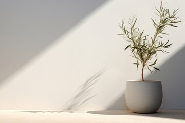 Olive tree architecture windowsill cookware.