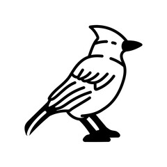 Blue Jay Glyph Icon, Vector illustration
