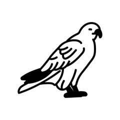 Falcon Glyph Icon, Vector illustration