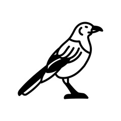 Magpie Glyph Icon, Vector illustration