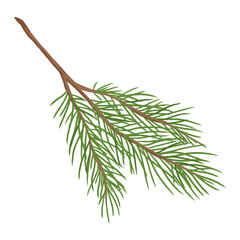 Coniferous tree branch colorful sticker