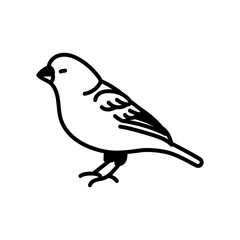 Canary Glyph Icon, Vector illustration