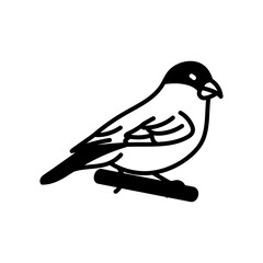 Finch Glyph Icon, Vector illustration