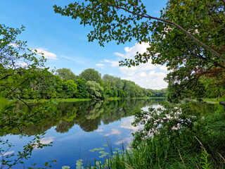 Fototapeta premium Landscape of trees and river with water reflection in the Wilanow park. Warsaw, Poland
