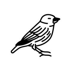 Warbler Glyph Icon, Vector illustration