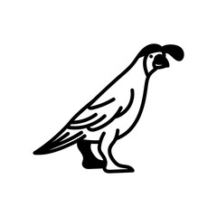 Quail Glyph Icon, Vector illustration