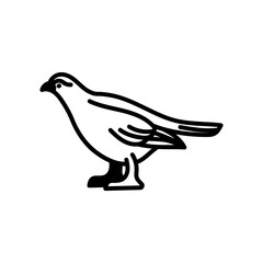 Grouse Glyph Icon, Vector illustration