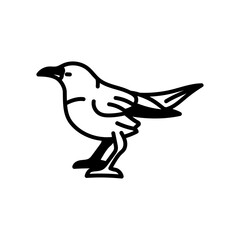 Fototapeta premium Blackbird Glyph Icon, Vector illustration