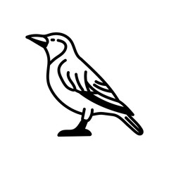 Fototapeta premium Starling Glyph Icon, Vector illustration