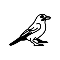 Jay Bird Glyph Icon, Vector illustration
