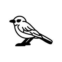 Phoebe Glyph Icon, Vector illustration
