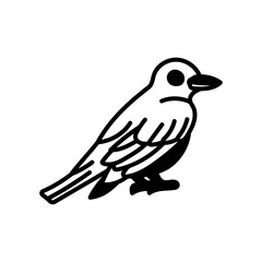Kingbird Glyph Icon, Vector illustration