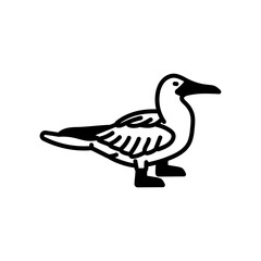 Boobies Glyph Icon, Vector illustration