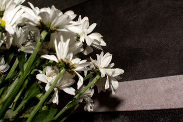 Close up a bouquet of daisies