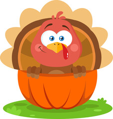 Cute Baby Turkey Bird Cartoon Character In Pumpkin. Vector Illustration Flat Design Isolated On Transparent Background