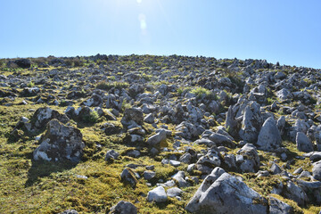 カルスト地形の霊仙山、石灰岩の周りに生える苔