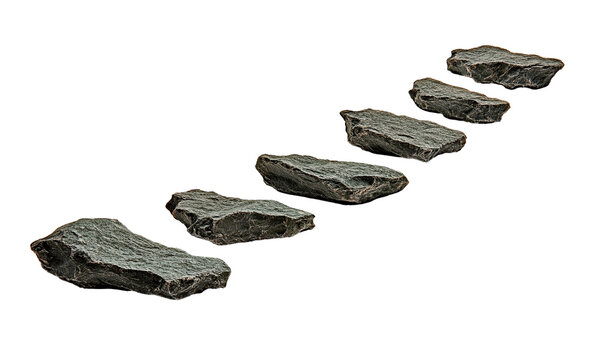 Isolated ascending slate stepping stone path in diagonal arrangement.