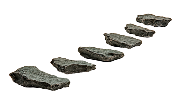 Isolated ascending slate stepping stone path in diagonal arrangement.