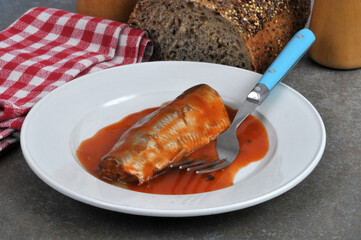 Filet de hareng sauce tomate dans une assiette avec une fourchette,une serviette de table et du pain en gros plan