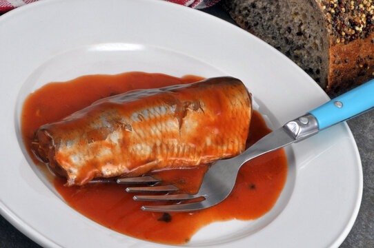 Filet de hareng sauce tomate dans une assiette avec une fourchette en gros plan