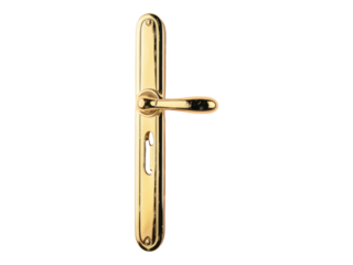 Golden door handle. Isolated PNG