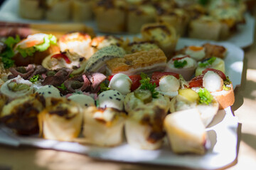 assorted appetizers featuring elegant bites with meats and vegetables arranged on a platter at a summer outdoor gathering