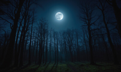 The full moon shines brightly over a dark forest at night