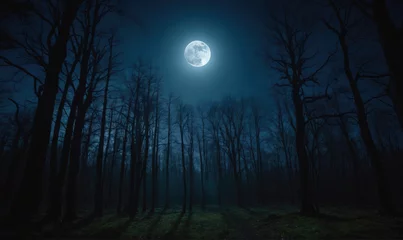 The full moon shines brightly over a dark forest at night