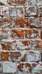 Fototapeta premium Ancient ruined brick wall with paint residue. Brick weathering. Selective focus