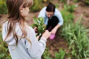 Fototapeta premium Little girl helping her mother work in the garden in the backyard of the house