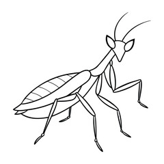 Mantis Vector Illustration - Cartoon, Clipart, and Line Art Design.eps