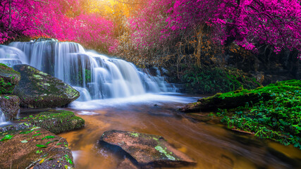 Amazing in nature, beautiful waterfall at colorful autumn forest in fall season