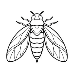 Cicada Vector Illustration - Cartoon Clipart and Line Art Design for Print.eps