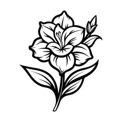 Gladiolus Flower Line art black and white  vector
