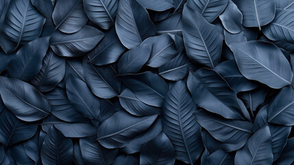 Obraz premium Close-up of large overlapping dark blue leaves creating a natural textured background. The leaves have detailed veins and smooth surfaces, arranged in a layered pattern.
