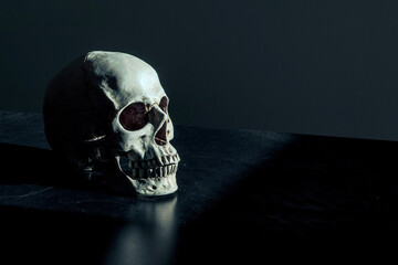 Human skull lying on a dark surface