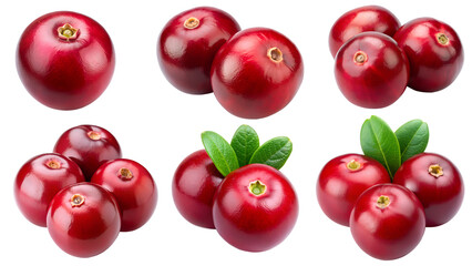 Red cranberries isolated on a transparent background png