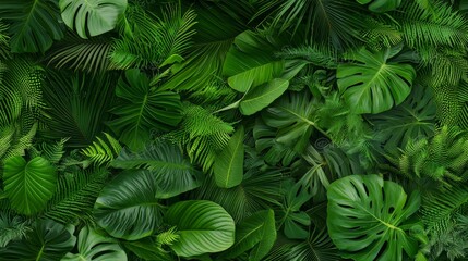 Tropical environment parallel beds