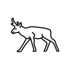 Pronghorn Outline Icon, Vector illustration