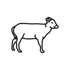 Lowland Anoa Outline Icon, Vector illustration